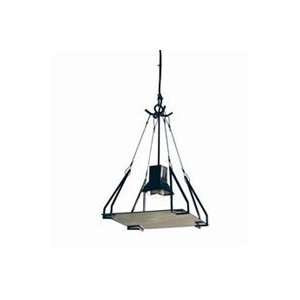  05.0802.10   One light Talon Pendant: Home Improvement