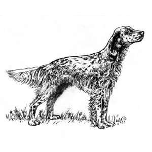   of 12 Parchment Gift Tags Line Drawing English Setter