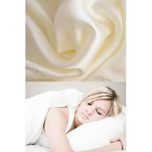  100% Mulberry Silk Filled Pillow and Pillowcase: Home 