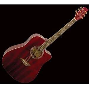   QUALITY ACOUSTIC GUITAR wXTRAS + 10yr WARRANTY Musical Instruments