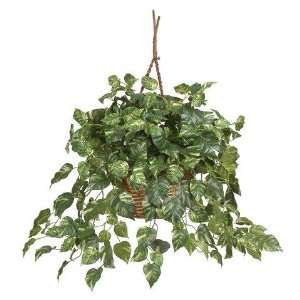 Exclusive By Nearly Natural Pothos Hanging Basket Silk Plant:  