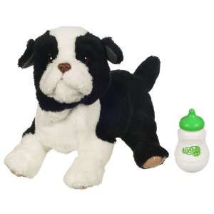  FurReal Newborn Border Collie Puppy: Toys & Games