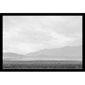   Dust Storm over the Manzanar Relocation Camp   19618 1: Home & Kitchen