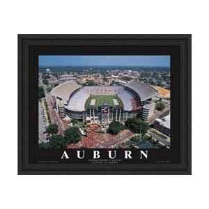 Jordan Hare Stadium Auburn Tigers Aerial Framed Print:  