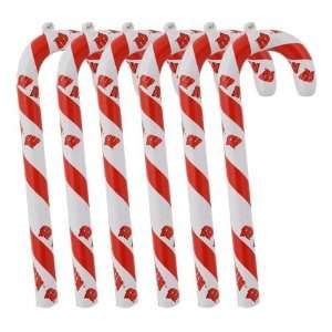  Wisconsin Set of 6 Candy Cane Ornaments: Home & Kitchen