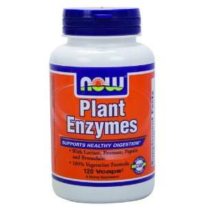 Wild Plant Enzymes (100 WILD Plants Liquid Meal) Health 