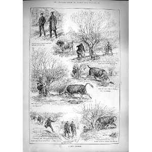  1890 Roaching Scene Fishing Hunting Bull River Field