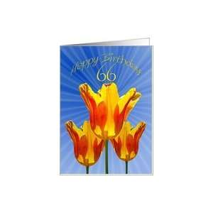  66th Birthday card, tulips full of sunshine Card: Toys 
