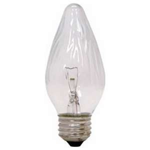  G E Lighting #72810 GE 2PK 25W Clear Bulb: Home 