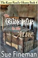 The Ghosts in the Attic Sue Fineman