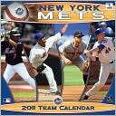 2011 New York Mets 12X12 Wall Calendar