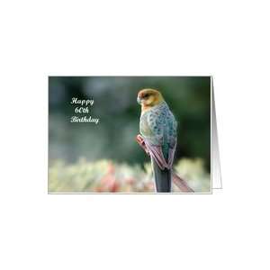    Birthday 60th   Age, Bird, Western Rosella, Card Toys & Games