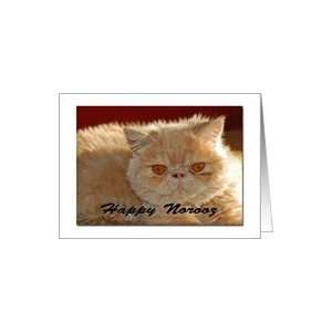  Persian New Year   Persian Cat Card Health & Personal 