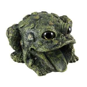   Hollow Green Frog Decorative Gutter Downspout: Patio, Lawn & Garden