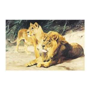  Lions by Wilhelm Kuhnert 32x22