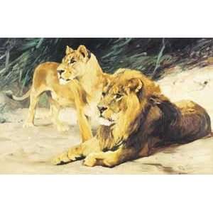  Lions   Artist Wilhelm Kuhnert  Poster Size 22 X 32