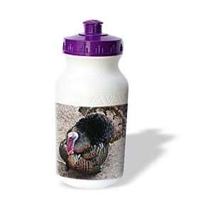   Wildlife birds   wild turkey   Water Bottles