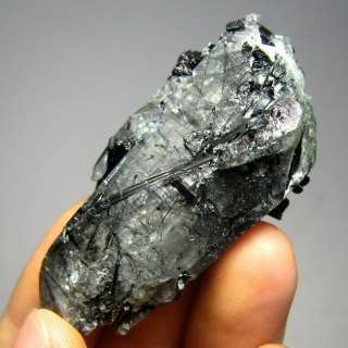 Schorl Black Tourmaline Crystal w/ Quartz tmgx9ic3368  