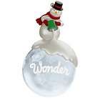 2009 Hallmark Keepsake Wonder of Snow (Glass Ornament)