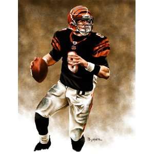  Large Carson Palmer Cincinnati Bengals Giclee Sports 