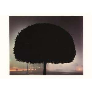  Tree & Fog, Note Card by Sharmon Goff, 7x5