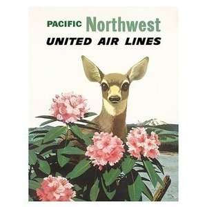  World Travel Poster United Air Lines Pacific Northwest 12 