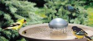 Birdbath Solar Water Wiggler ,No more mosquitos  