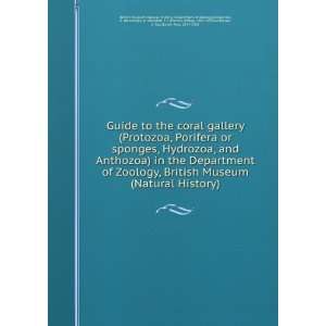  Guide to the coral gallery (Protozoa, Porifera or sponges 