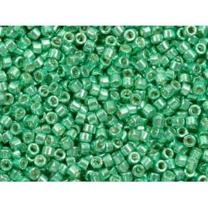  8g Galvanized Dark Mint Delica Seed Beads Arts, Crafts & Sewing