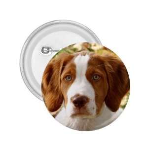  Welsh Springer Spaniel Pup 2.25in Button D0640 Everything 