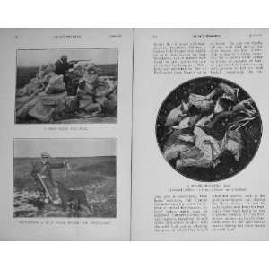   1911 Shore Shooters Hunting Birds Mallard Sheld Duck: Home & Kitchen