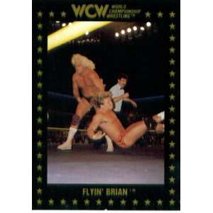  1991 WCW Collectible Wrestling Card #38  Brian Pillman 