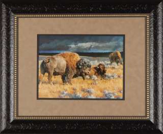 Restless Nancy Glazier Framed Print Wildlife Buffalo  