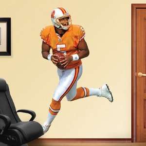  Josh Freeman Fathead Wall Graphic Throwback   NFL: Sports 