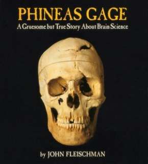   Phineas Gage A Gruesome but True Story About Brain 