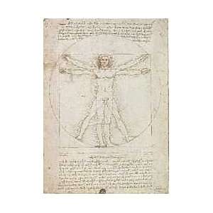    Leonardo Da Vinci   Human Proportions Canvas