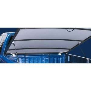   98 Ford Full Size Long Box Old Body   Access Cover: Sports & Outdoors