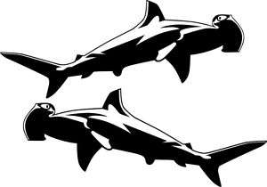 Hammerhead Shark Decal/Sticker 12 wide  