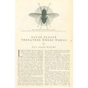  1912 Teetsee Fly Sleeping Sickness in Uganda Africa 