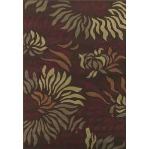   CR 20 4 Feet 11 Inch by 7 Feet Area Rug, Chocolate: Home & Kitchen