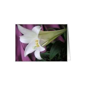 Easter Lily Eight Card
