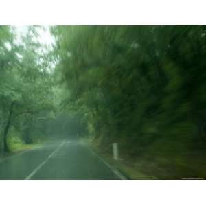View Through Window of a Car Driving on a Tree Lined Road in the Rain 