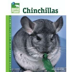  Chinchillas Animal Planet