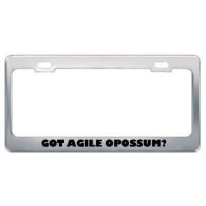  Got Agile Opossum? Animals Pets Metal License Plate Frame 