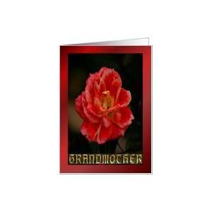  GRANDMOTHER   SPECKLED RED ROSE Card Health & Personal 