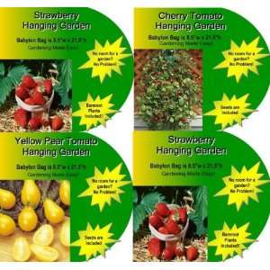  4 Pack Hanging Garden Combo * 2 STRAWBERRY with Bareroot Plants 