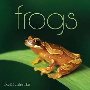  Frogs 2010 Wall Calendar