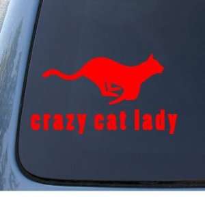  CRAZY CAT LADY   Kitty   Car, Truck, Notebook, Vinyl Decal 