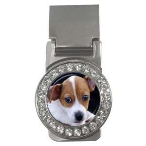  Jack Russell Puppy Dog 3 Money Clip CZ W0703: Everything 