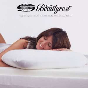  Beautyrest Ortho Posture Memory Foam Pillow (Standard 